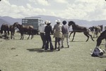 [1978-11] San Franciso El Alto market 4