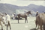 [1978-11] San Franciso El Alto market 6