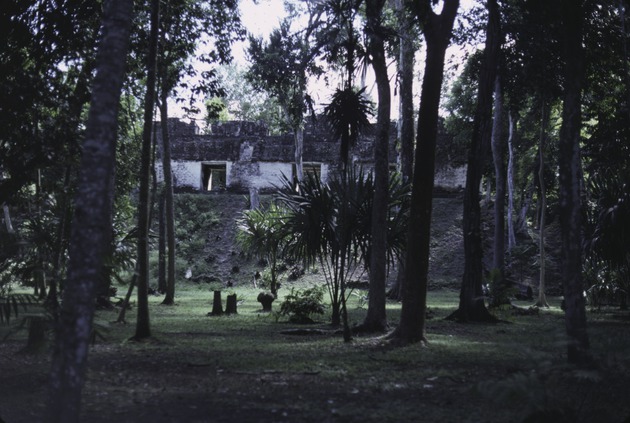 Tikal National Park 8