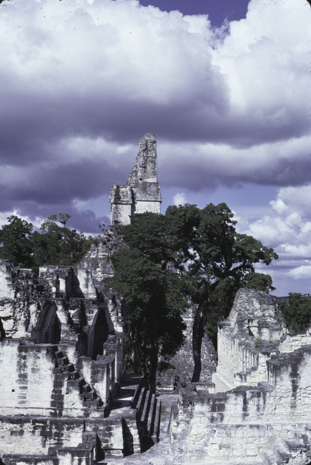 Tikal National Park 11