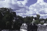 Tikal National Park 12