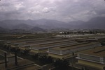 Medellin tobacco warehouse