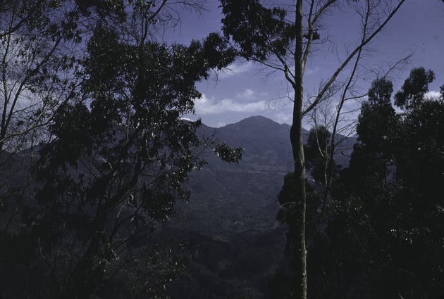 Mountains east of Bogota, Colombia