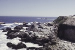 [1970-11] Pacific coast north of Viña del Mar, Chile 1