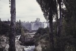 Laja Falls, Chile 10