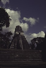 Tikal 3