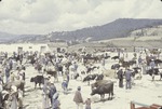 [1978-11] San Franciso El Alto market 31