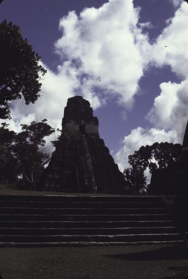 Tikal National Park 15