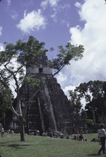 Tikal National Park 16