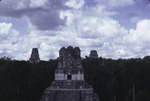 Tikal National Park 20