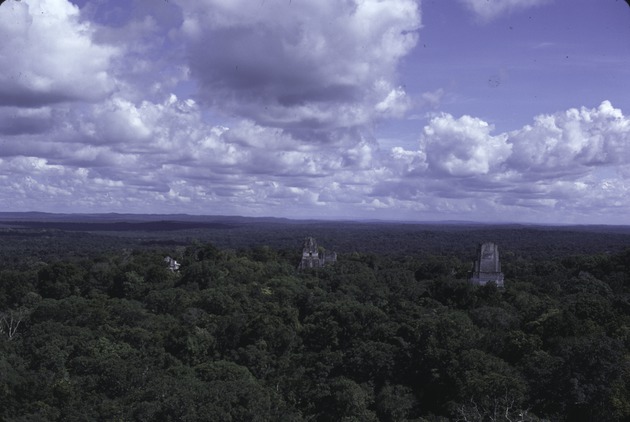Tikal National Park 22