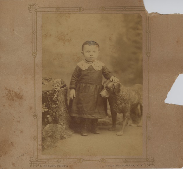 Portrait of a young child standing in between a stump and a statue of a dog - 
