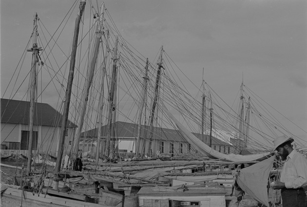 Fishing boats, Nassau, Bahamas 3