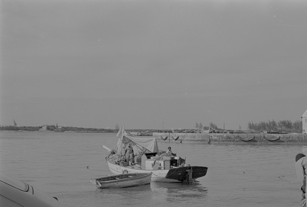 Fishing boats, Nassau, Bahamas 5