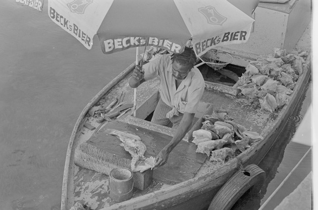 Fishing boats, Nassau, Bahamas 7