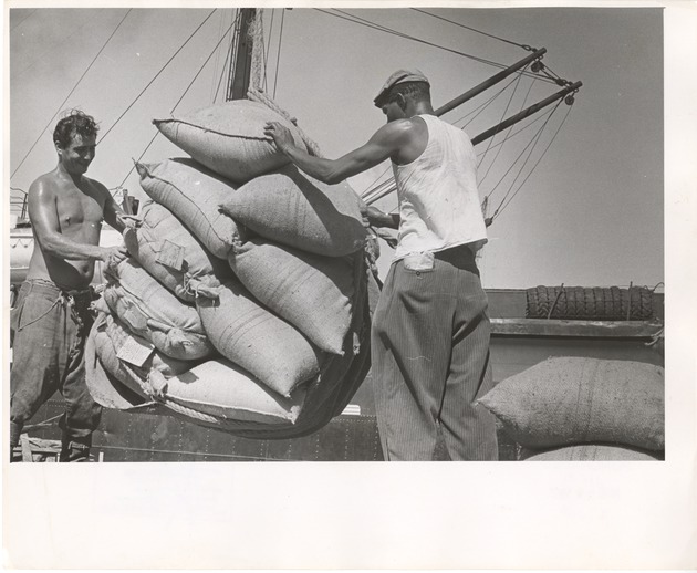 Fish meal being unloaded from a Soviet Ship in Havana Harbor - 