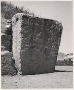 [1962] Zapotec stone carvings, Monte Alban, Mexico