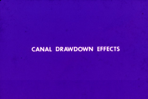 Turner River studies: canal drawdown effects