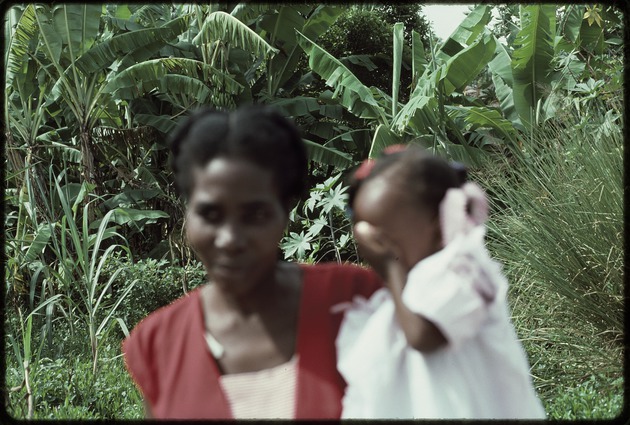 Vaccination program in Haiti