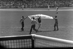 [1960-08] Protestors on the field, New York Yankees against the Chicago White Socks at Yankee Stadium