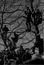 [1962-03-01] Spectators in a tree, Astronaut John Glenn ticker tape parade