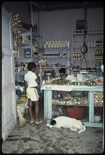 A boy and dog in a store