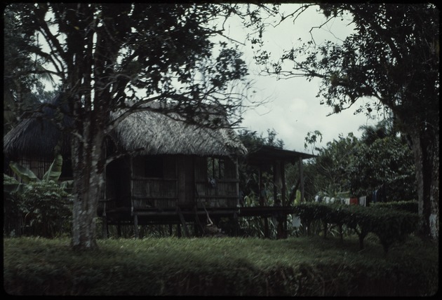 A raised wooden structure