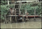 Children jumping off of a dock into the water