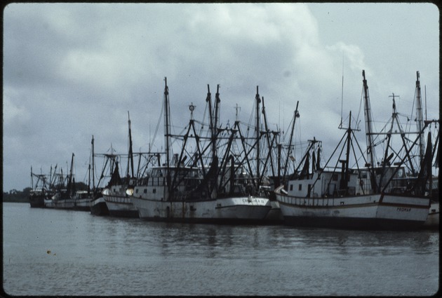 Fishing vessels on the water