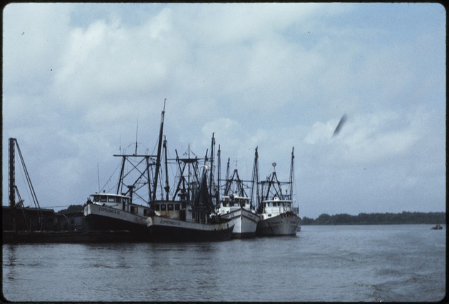 Fishing vessels docked at Mescanica SA