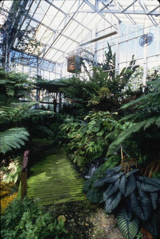 Wertheim Conservatory
