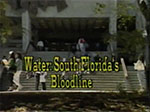 Water: South Florida's bloodline