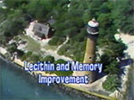 Lecithin and memory improvement