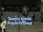 Domestic violence: program for change