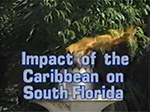 Impact of the Caribbean on South Florida