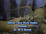 African New World Studies presents Dr. Ali A. Mazrui