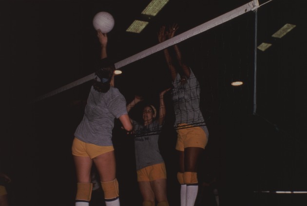 Florida International University athletic department women's volleyball