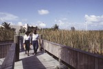 Students walking on the dock at Bay Vista Campus