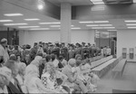 Recessional graduates 1973 Spring Florida International University Commencement