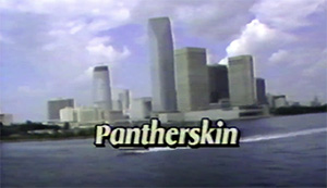 Pantherskin