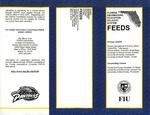 Florida Engineering Education Delivery System (FEEDS) Brochure