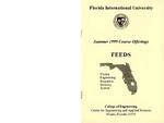 Summer 1999 Course Offerings Florida Engineering Education Delivery System Distance Learning