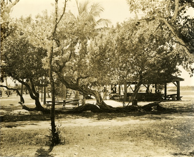 Picnic shelter - Recto