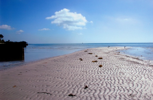 Virginia Key Beach during low tide