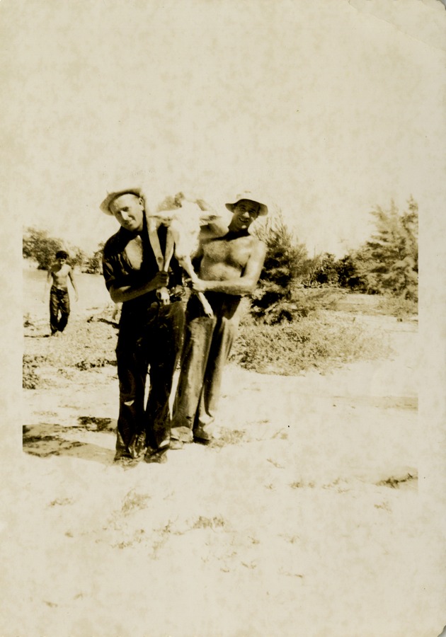 Two men carrying calf - 