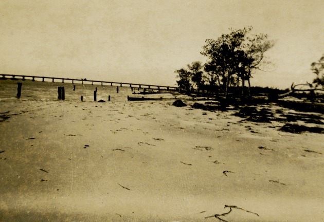 Debris on beach - Recto