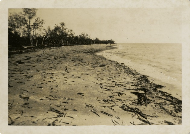 Damage on Virginia Key Beach