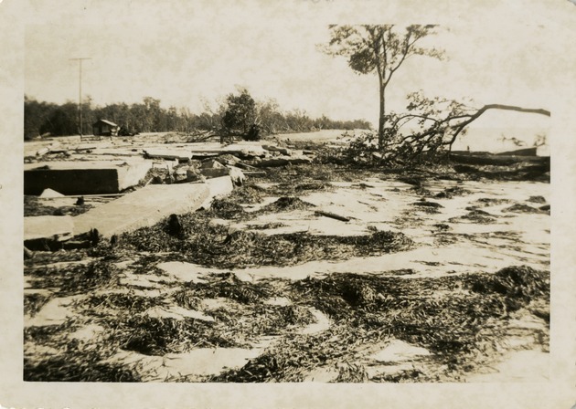 Tree damage and debris - Recto