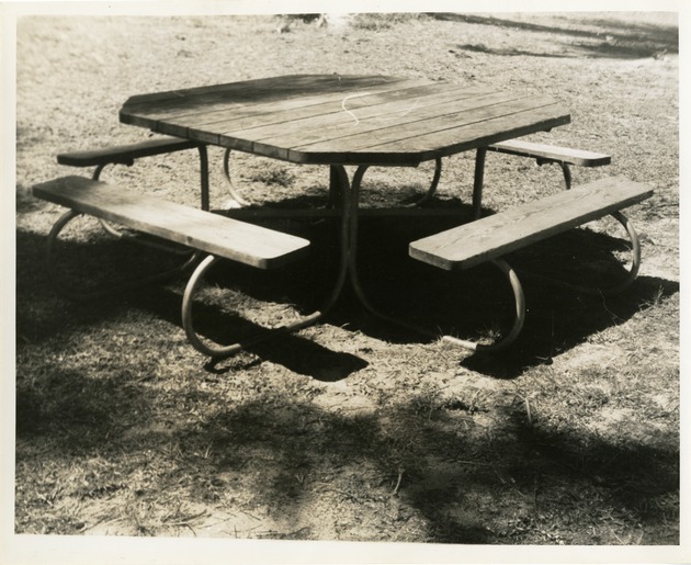 Picnic table and benches