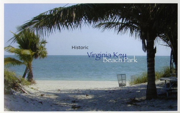 Beach and palm trees postcard - 